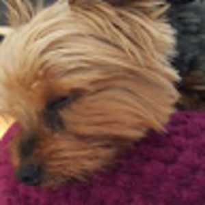 Meet your Posher, Nadine